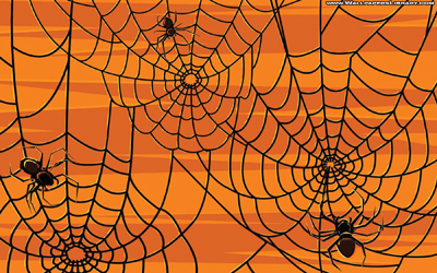 halloween-spider-wallpaper