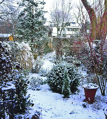 winter_garden