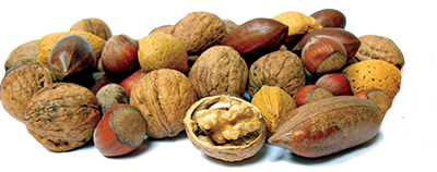mixed-nuts