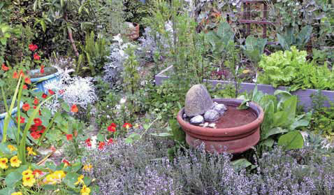 Garden Ideas For Birds - Vertical Home Garden